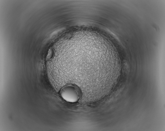 X0000115490918200911061303