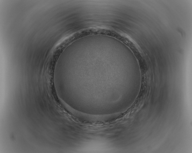 X0000115490919200911061304