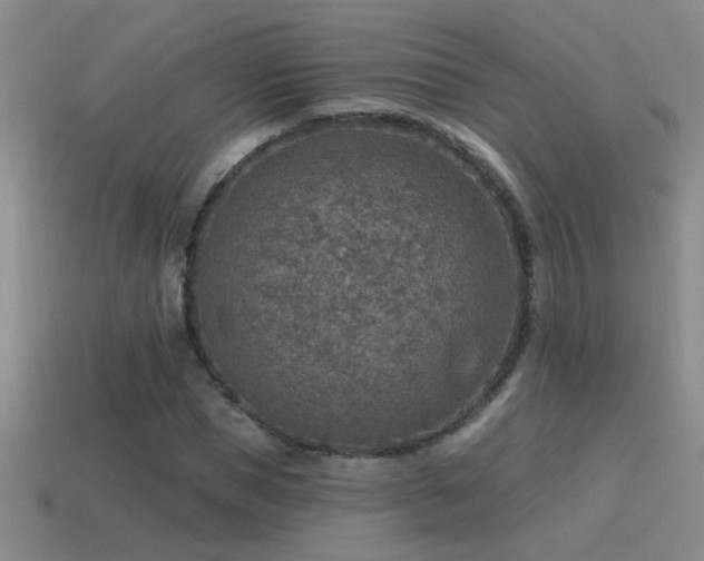 X0000115490921200911061304