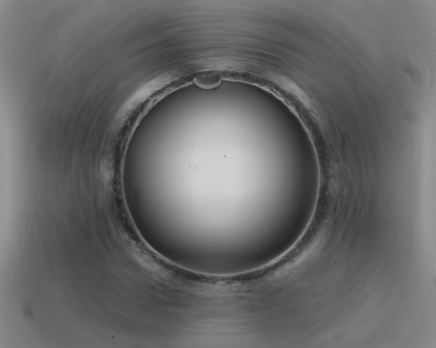X0000115490922200911061304