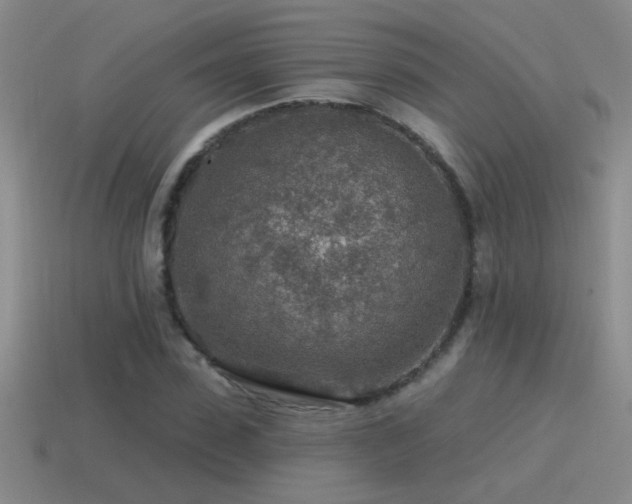 X0000115490923200911061304