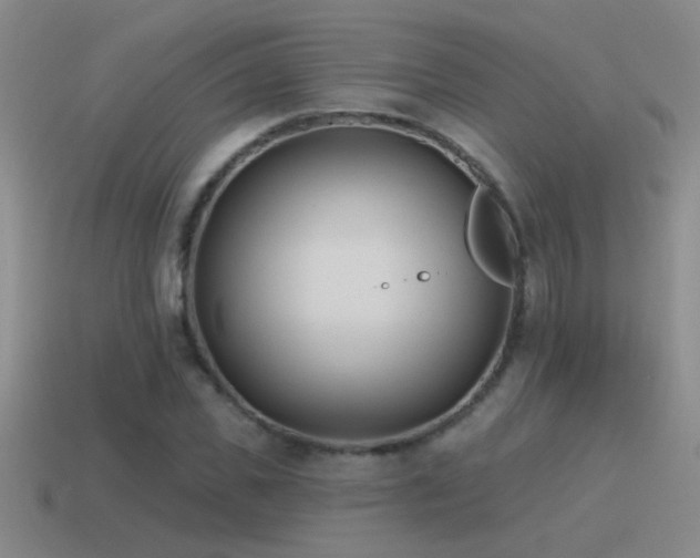 X0000115490925200911061304