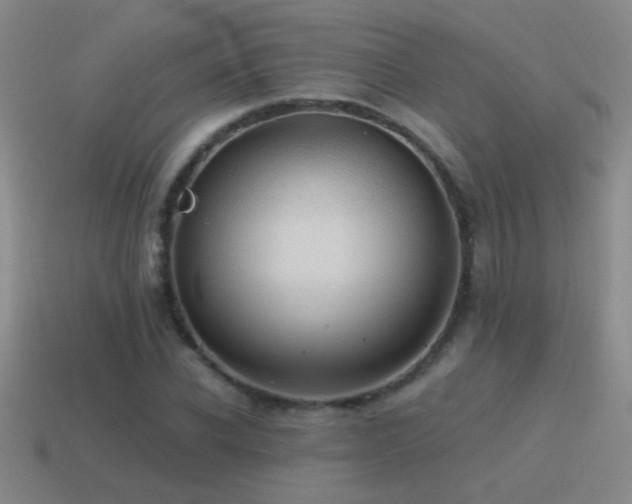 X0000115490926200911061304