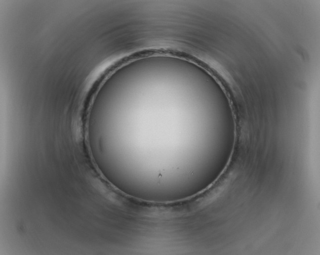 X0000115490927200911061304