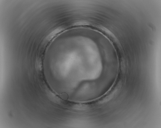 X0000115490929200911061304