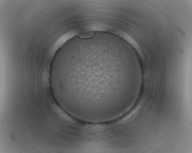 X0000115490930200911061304
