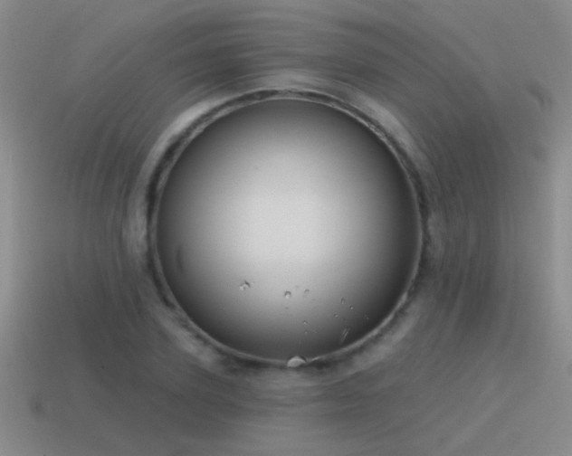 X0000115490931200911061304