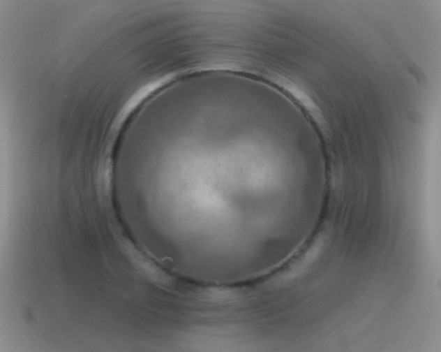 X0000115490933200911061304