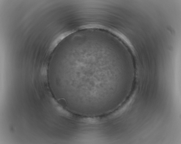 X0000115490937200911061304