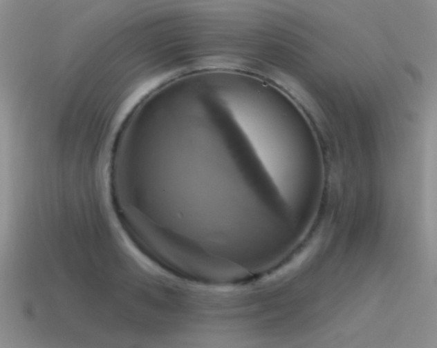 X0000115490941200911061304
