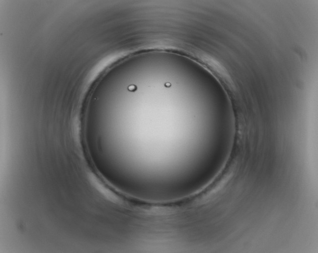 X0000115490942200911061304