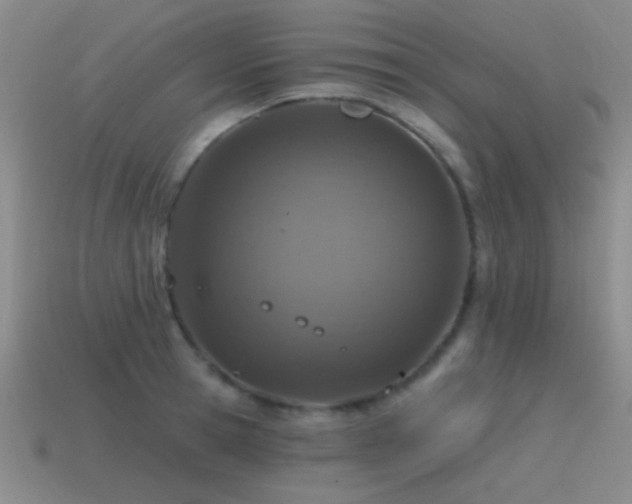X0000115490945200911061304