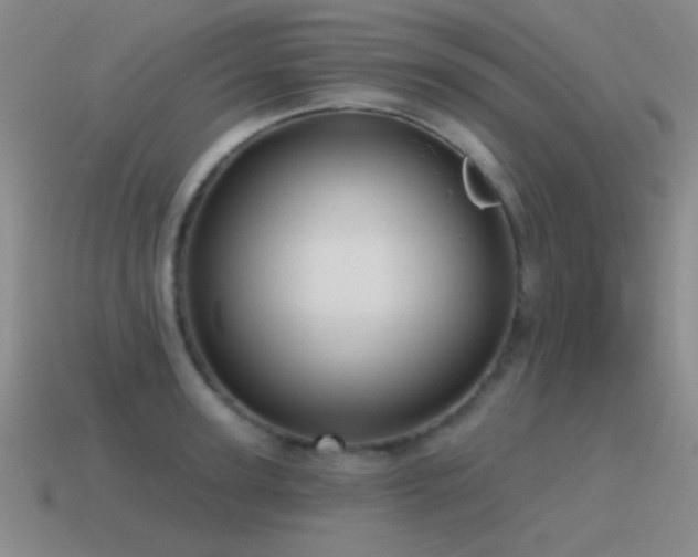 X0000115490947200911061304