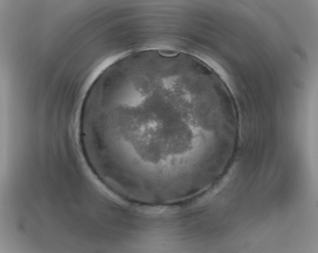 X0000115490949200911061304