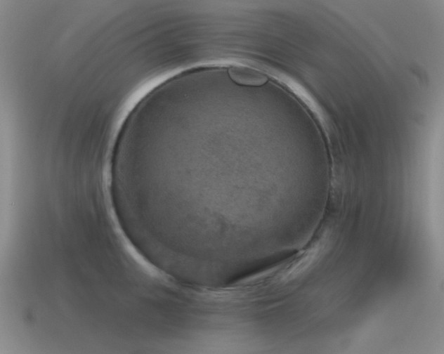 X0000115490951200911061304