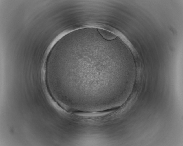 X0000115490955200911061304