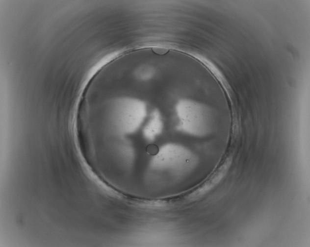 X0000115490957200911061304