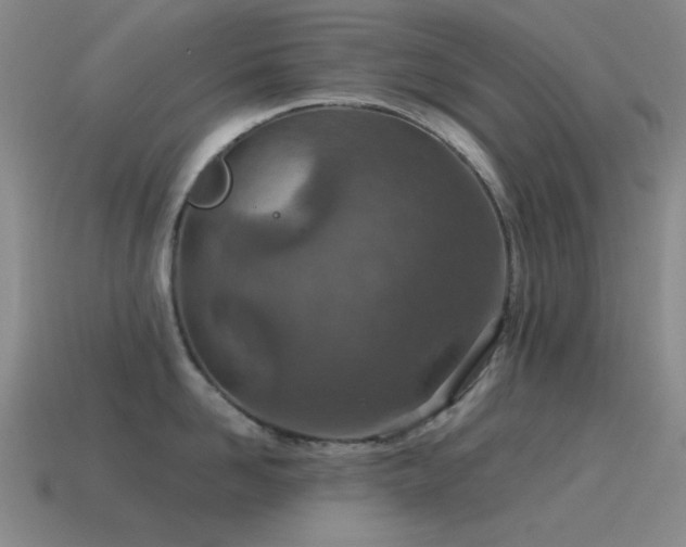 X0000115490958200911061304