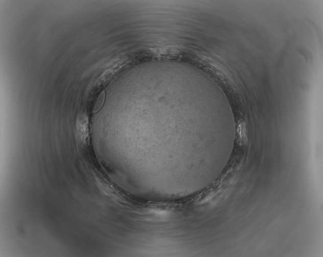 X0000115490963200911061303