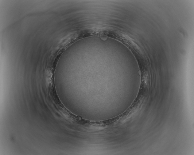 X0000115490964200911061303