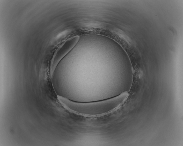 X0000115490965200911061303