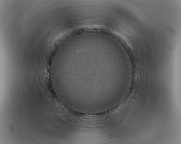 X0000115490966200911061303