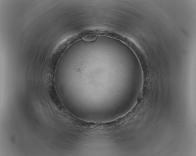 X0000115490967200911061303