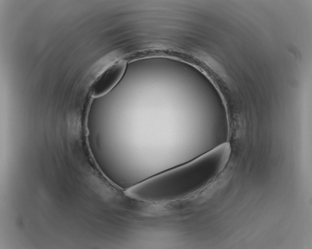 X0000115490969200911061303
