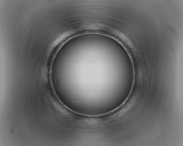 X0000115490970200911061303