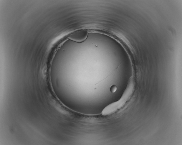 X0000115490971200911061303