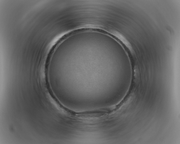 X0000115490972200911061303