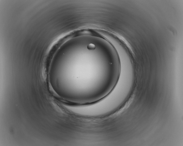 X0000115490973200911061303