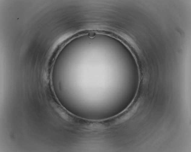 X0000115490974200911061303