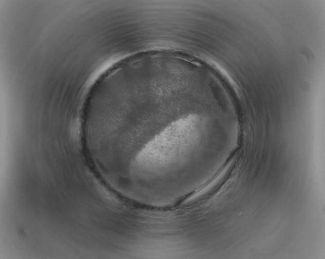 X0000115490975200911061303