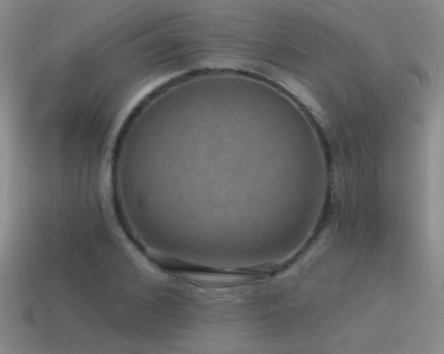 X0000115490976200911061303