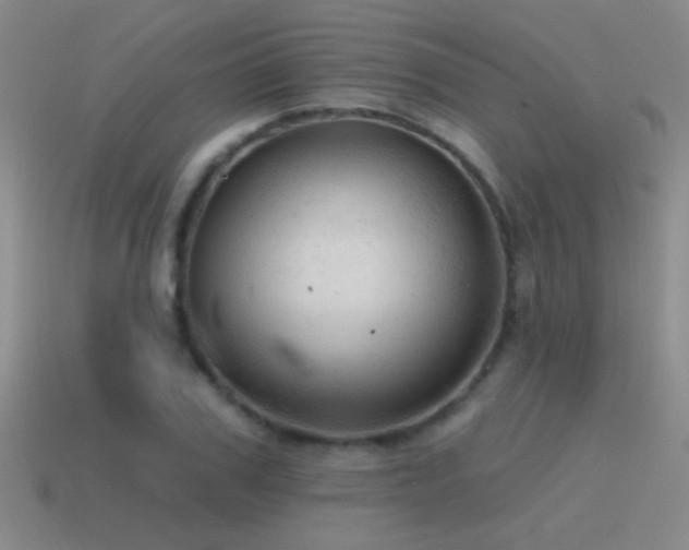 X0000115490979200911061303