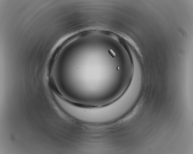 X0000115490981200911061303