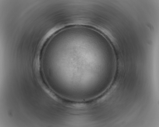 X0000115490982200911061303
