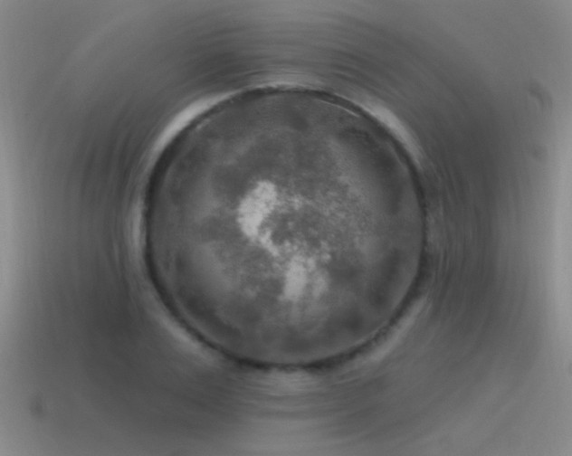 X0000115490983200911061303