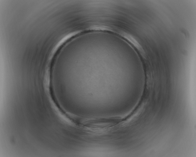 X0000115490984200911061303