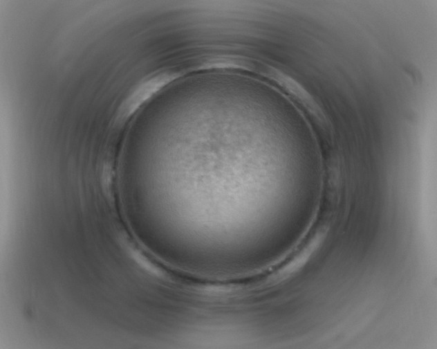 X0000115490985200911061303