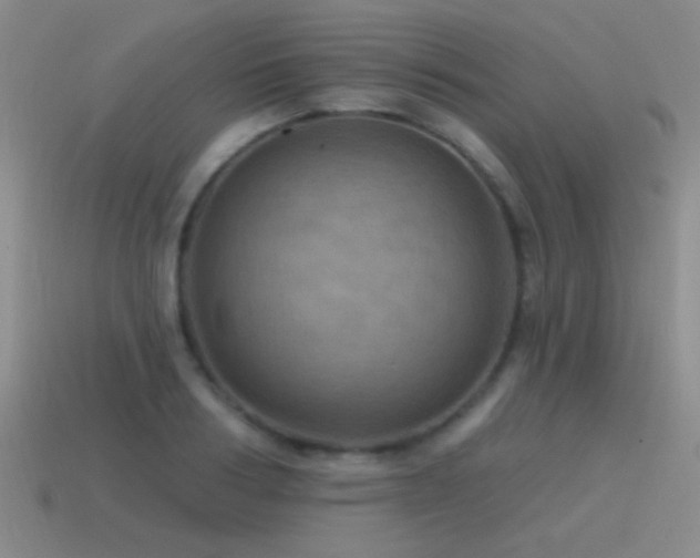 X0000115490986200911061303