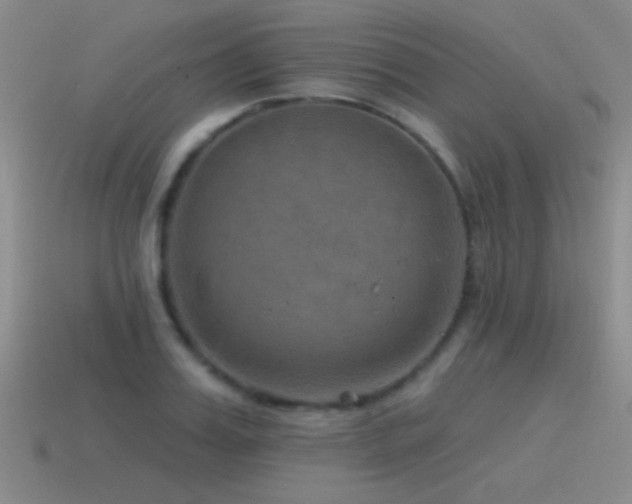 X0000115490987200911061303