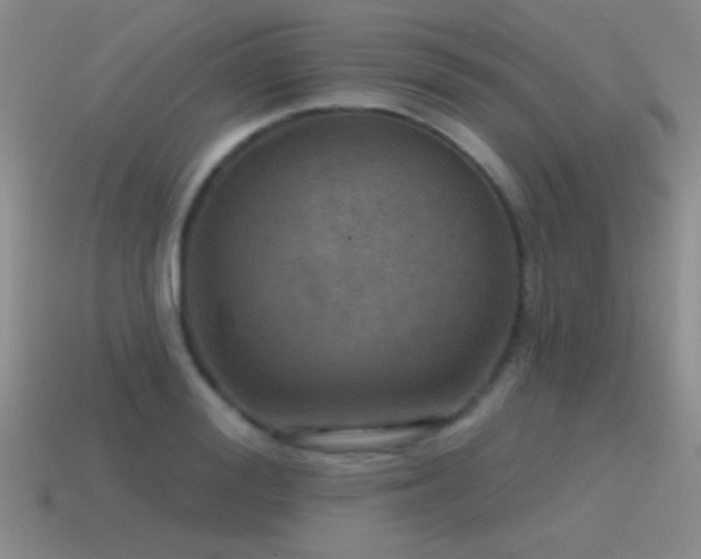 X0000115490988200911061303