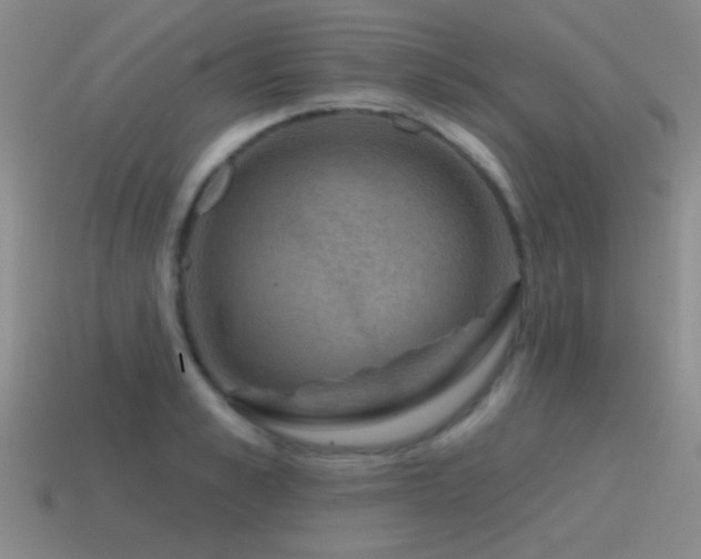 X0000115490989200911061303