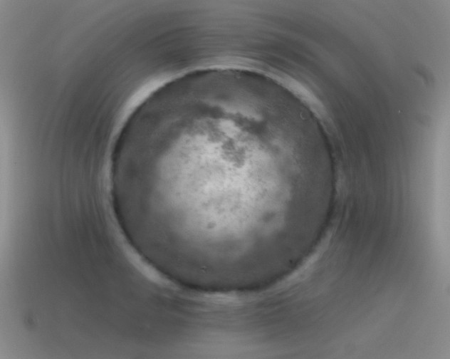 X0000115490990200911061303