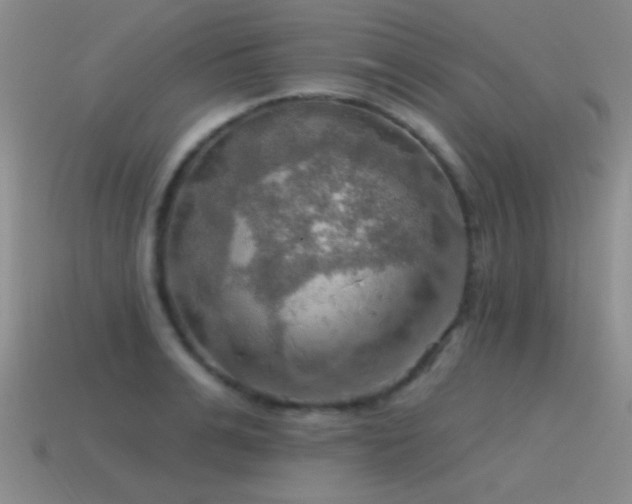 X0000115490991200911061303