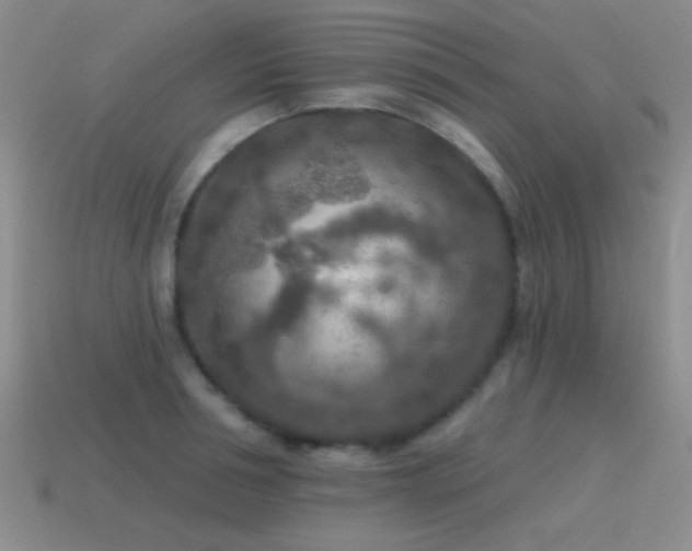 X0000115490994200911061303