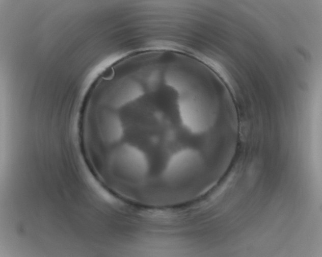 X0000115490995200911061303