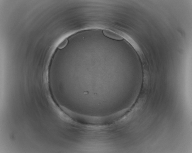 X0000115490996200911061303